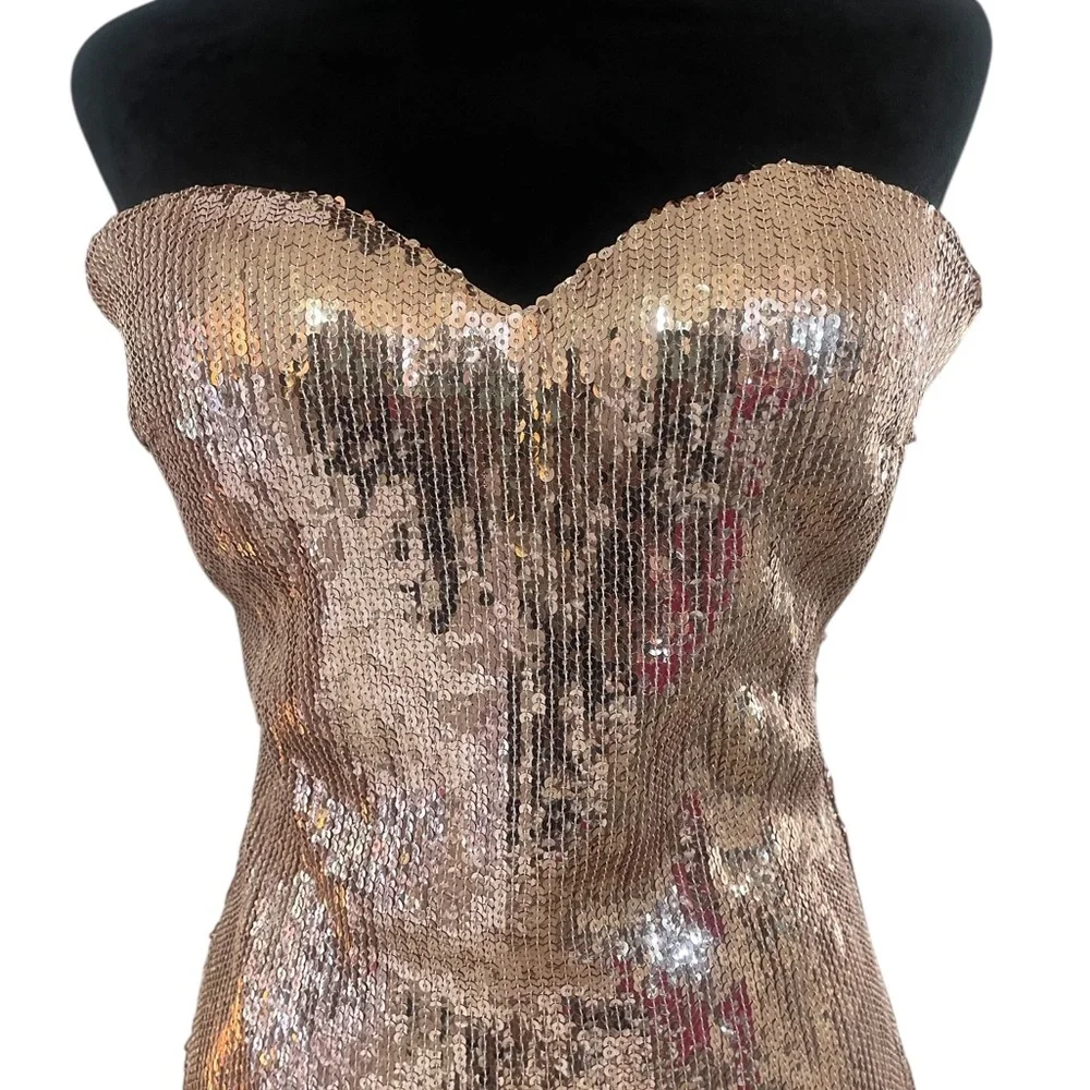 Strapless rose gold sequin dress,tassel sequin bottom, Large,New - Picture 2 of 7